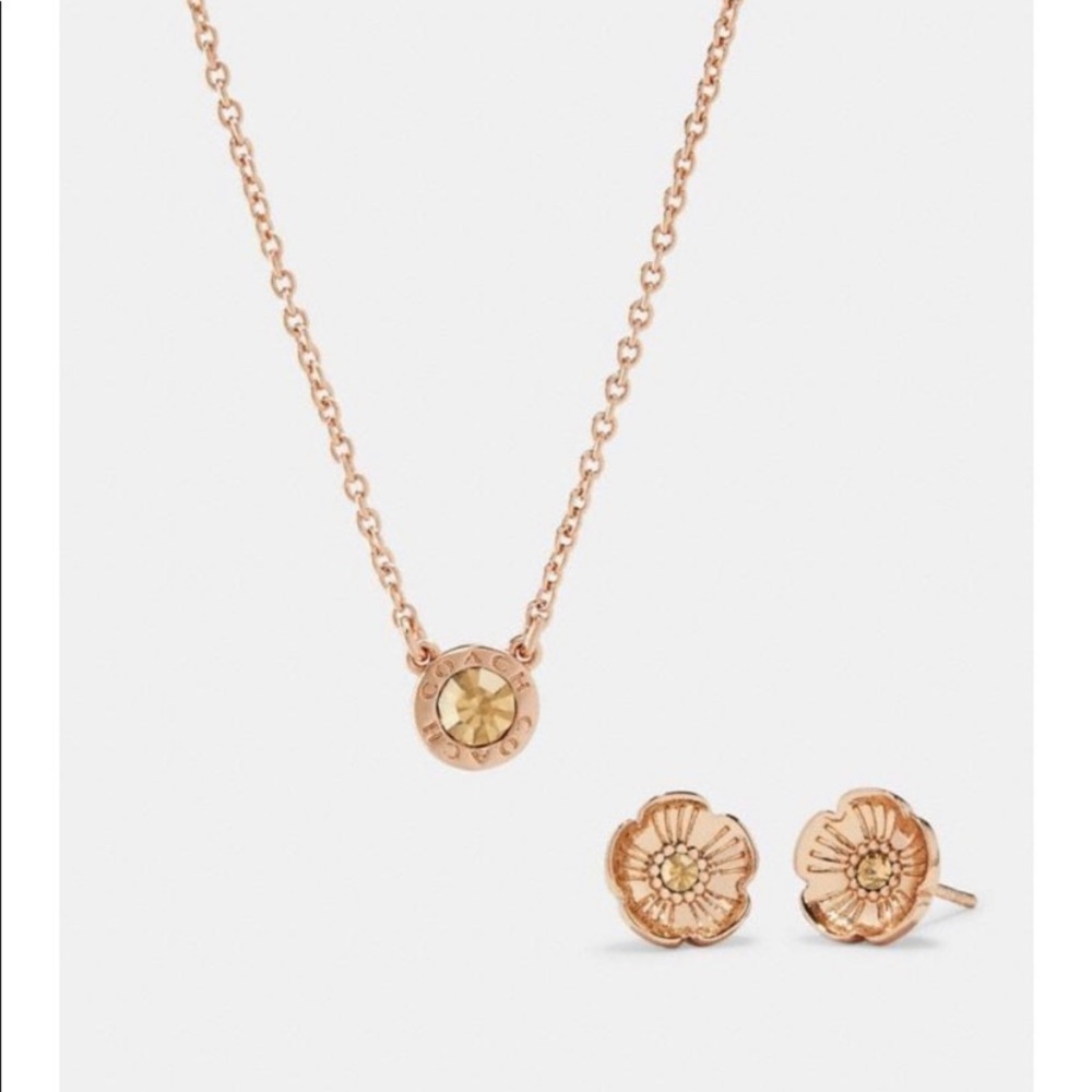 NWT Coach Rose Gold Earrings and Necklace